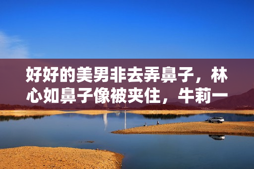 好好的美男非去弄鼻子，林心如鼻子像被夹住，牛莉一个鼻孔两个大