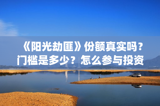 《阳光劫匪》份额真实吗？门槛是多少？怎么参与投资？(阳光劫匪演的什么玩意)