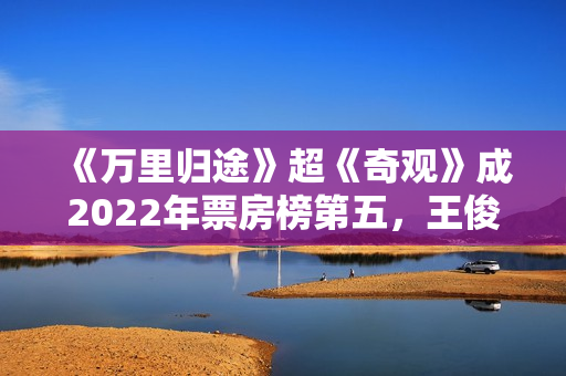 《万里归途》超《奇观》成2022年票房榜第五，王俊凯不输易烊千玺