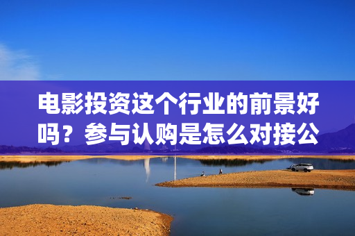 电影投资这个行业的前景好吗？参与认购是怎么对接公司的呢？(投资电影的人在电影行业叫什么)
