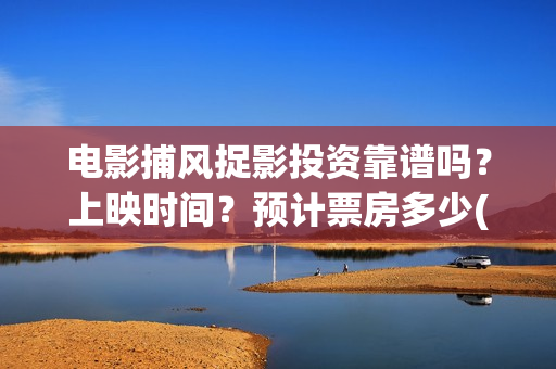 电影捕风捉影投资靠谱吗？上映时间？预计票房多少(捕风捉影电影出品方)