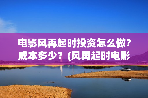 电影风再起时投资怎么做？成本多少？(风再起时电影海报)