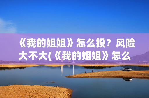 《我的姐姐》怎么投？风险大不大(《我的姐姐》怎么样)