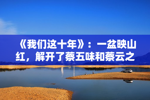 《我们这十年》：一盆映山红，解开了蔡五味和蔡云之间的父女情仇