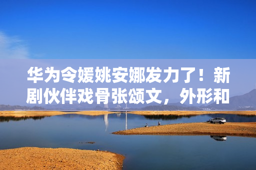 华为令媛姚安娜发力了！新剧伙伴戏骨张颂文，外形和演技使人耽忧