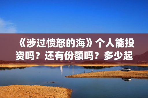 《涉过愤怒的海》个人能投资吗？还有份额吗？多少起投？(涉过愤怒的海周依然做出的牺牲)