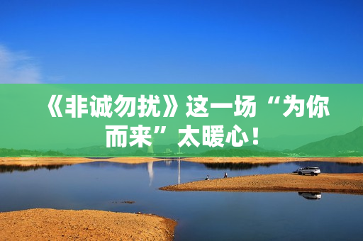 《非诚勿扰》这一场“为你而来”太暖心！