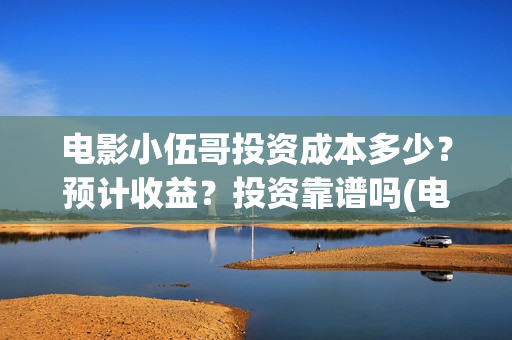 电影小伍哥投资成本多少？预计收益？投资靠谱吗(电影小伍哥导演)