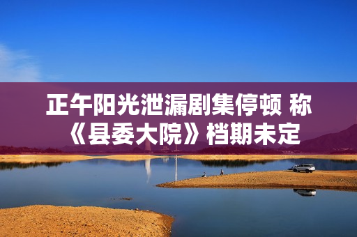 正午阳光泄漏剧集停顿 称《县委大院》档期未定