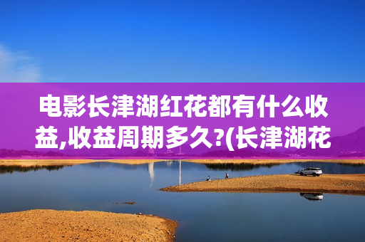电影长津湖红花都有什么收益,收益周期多久?(长津湖花多少钱拍的)