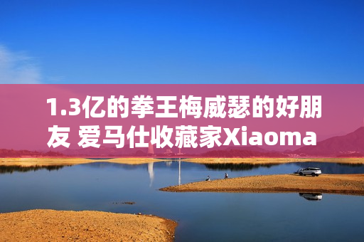 1.3亿的拳王梅威瑟的好朋友 爱马仕收藏家Xiaoma