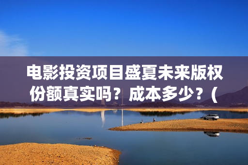 电影投资项目盛夏未来版权份额真实吗？成本多少？(电影投入资金)