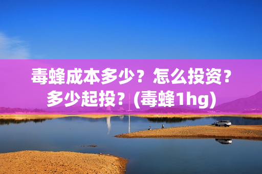 毒蜂成本多少？怎么投资？多少起投？(毒蜂1hg)