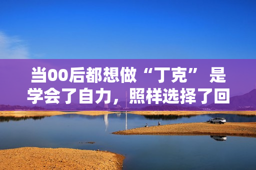 当00后都想做“丁克” 是学会了自力，照样选择了回避？