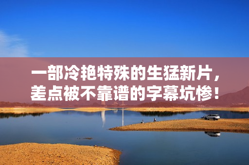 一部冷艳特殊的生猛新片，差点被不靠谱的字幕坑惨！
