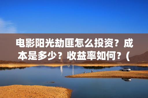 电影阳光劫匪怎么投资？成本是多少？收益率如何？(电影阳光劫匪最后看不懂)
