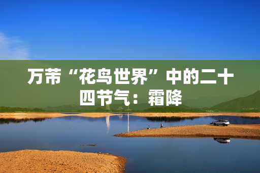 万芾“花鸟世界”中的二十四节气：霜降