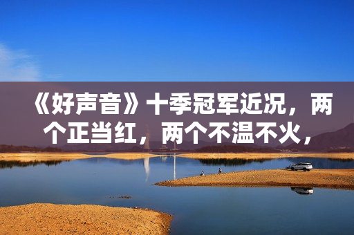 《好声音》十季冠军近况，两个正当红，两个不温不火，还有六个呢