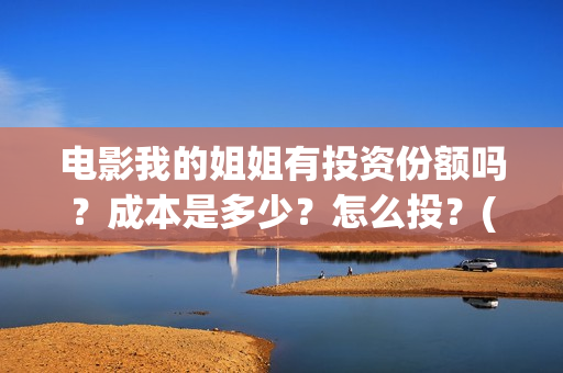电影我的姐姐有投资份额吗？成本是多少？怎么投？(电影我的姐姐有多少集)