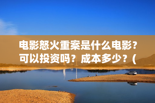 电影怒火重案是什么电影？可以投资吗？成本多少？(电影怒火重案是真实的吗)