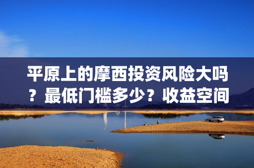 平原上的摩西投资风险大吗？最低门槛多少？收益空间大吗？(平原上的摩西究竟讲的什么)