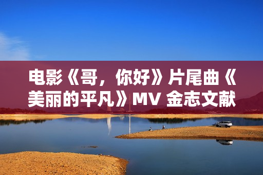 电影《哥，你好》片尾曲《美丽的平凡》MV 金志文献唱守护感人亲情
