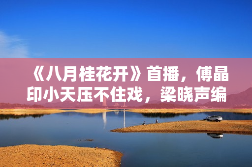 《八月桂花开》首播，傅晶印小天压不住戏，梁晓声编剧缺厚重
