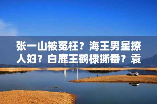 张一山被冤枉？海王男星撩人妇？白鹿王鹤棣撕番？袁冰妍复出？刘浩存搭上于正？