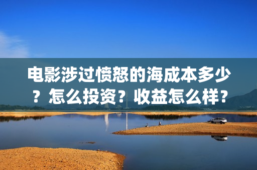 电影涉过愤怒的海成本多少？怎么投资？收益怎么样？(电影涉过愤怒的海观后感)