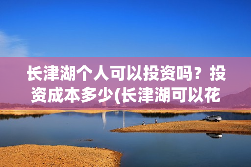 长津湖个人可以投资吗？投资成本多少(长津湖可以花钱在家里看吗)