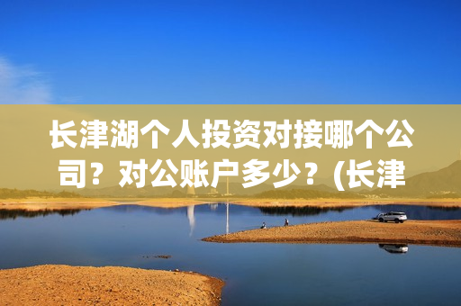 长津湖个人投资对接哪个公司？对公账户多少？(长津湖投资额度)