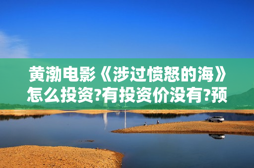 黄渤电影《涉过愤怒的海》怎么投资?有投资价没有?预估收益?