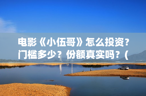 电影《小伍哥》怎么投资？门槛多少？份额真实吗？(小伍哥在线观看)