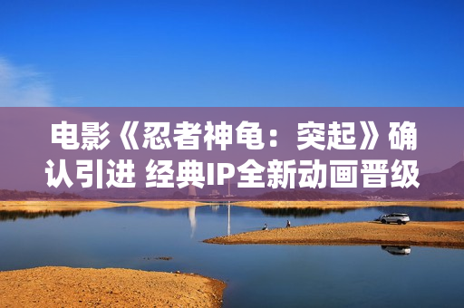 电影《忍者神龟：突起》确认引进 经典IP全新动画晋级回归