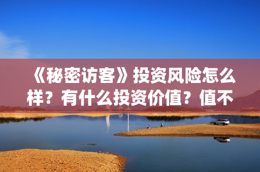 《秘密访客》投资风险怎么样？有什么投资价值？值不值得投资？(秘密访客票房破亿 视频)