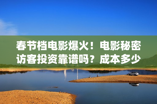 春节档电影爆火！电影秘密访客投资靠谱吗？成本多少(春节档电影盘点)