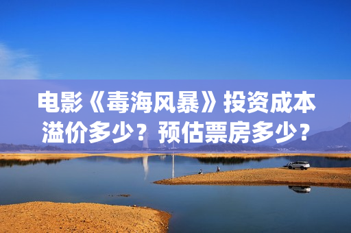 电影《毒海风暴》投资成本溢价多少？预估票房多少？怎么投资? (电影《毒海风暴》在线观看)