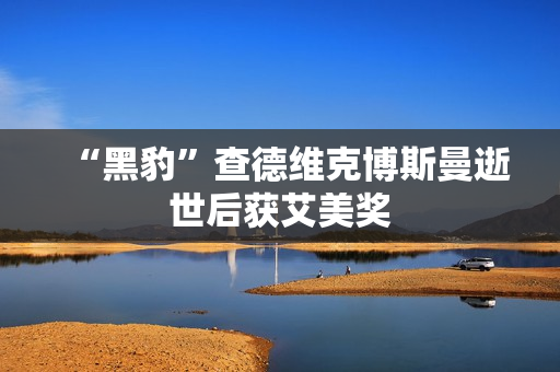 “黑豹”查德维克博斯曼逝世后获艾美奖