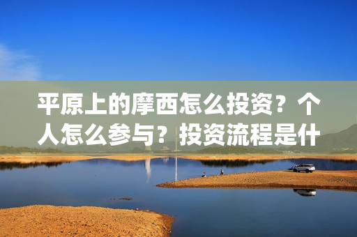 平原上的摩西怎么投资？个人怎么参与？投资流程是什么？(平原上的摩西中的摩西是啥)