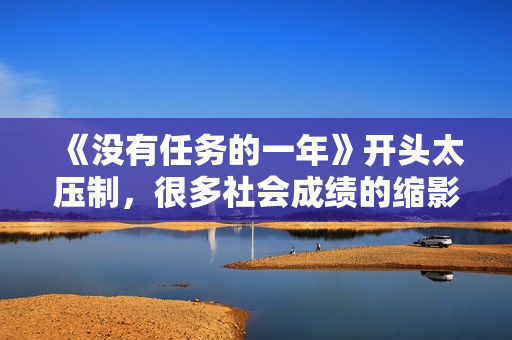 《没有任务的一年》开头太压制，很多社会成绩的缩影在个中