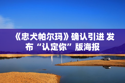 《忠犬帕尔玛》确认引进 发布“认定你”版海报