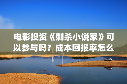 电影投资《刺杀小说家》可以参与吗？成本回报率怎么样？是保本的吗？(刺杀电影简介)