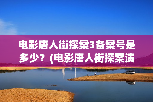 电影唐人街探案3备案号是多少？(电影唐人街探案演员表)