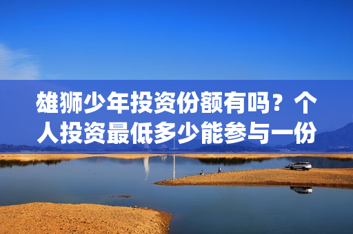 雄狮少年投资份额有吗？个人投资最低多少能参与一份？  (雄狮少年怎么投资)