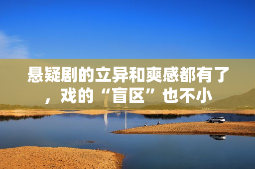 悬疑剧的立异和爽感都有了，戏的“盲区”也不小