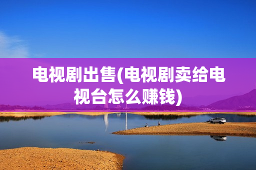 电视剧出售(电视剧卖给电视台怎么赚钱)