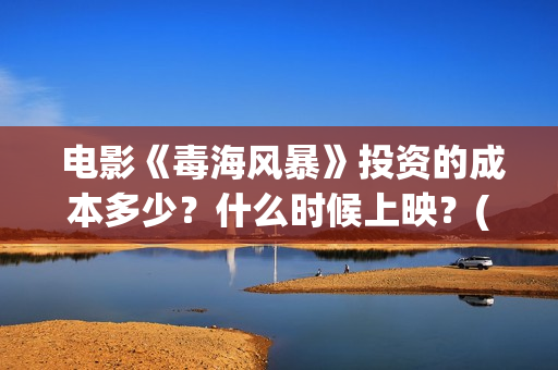  电影《毒海风暴》投资的成本多少？什么时候上映？(毒海风云电影在线观看免费)