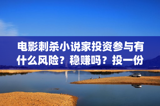 电影刺杀小说家投资参与有什么风险？稳赚吗？投一份什么成本？(电影刺杀小说家的演员表)