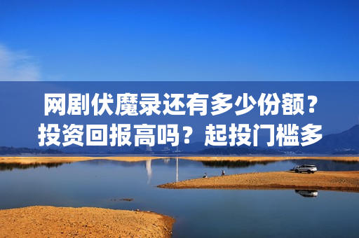 网剧伏魔录还有多少份额？投资回报高吗？起投门槛多少？(伏魔录电影开机新闻发布会)