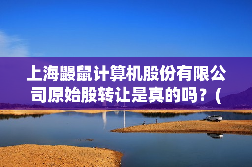 上海鼹鼠计算机股份有限公司原始股转让是真的吗？(上海计算机机构)